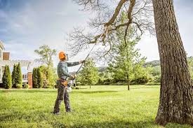 How Our Tree Care Process Works  in Broadview Heights, OH